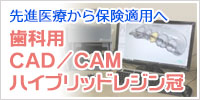 歯科用CAD/CAMハイブリッドレジン冠